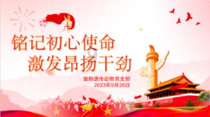滑动蓝色方块选关版